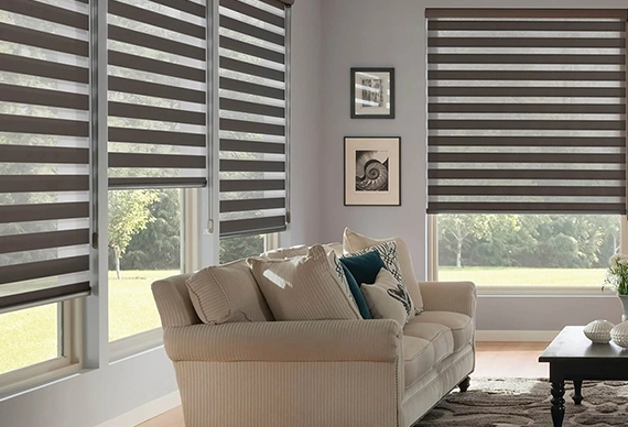Zebra Blinds